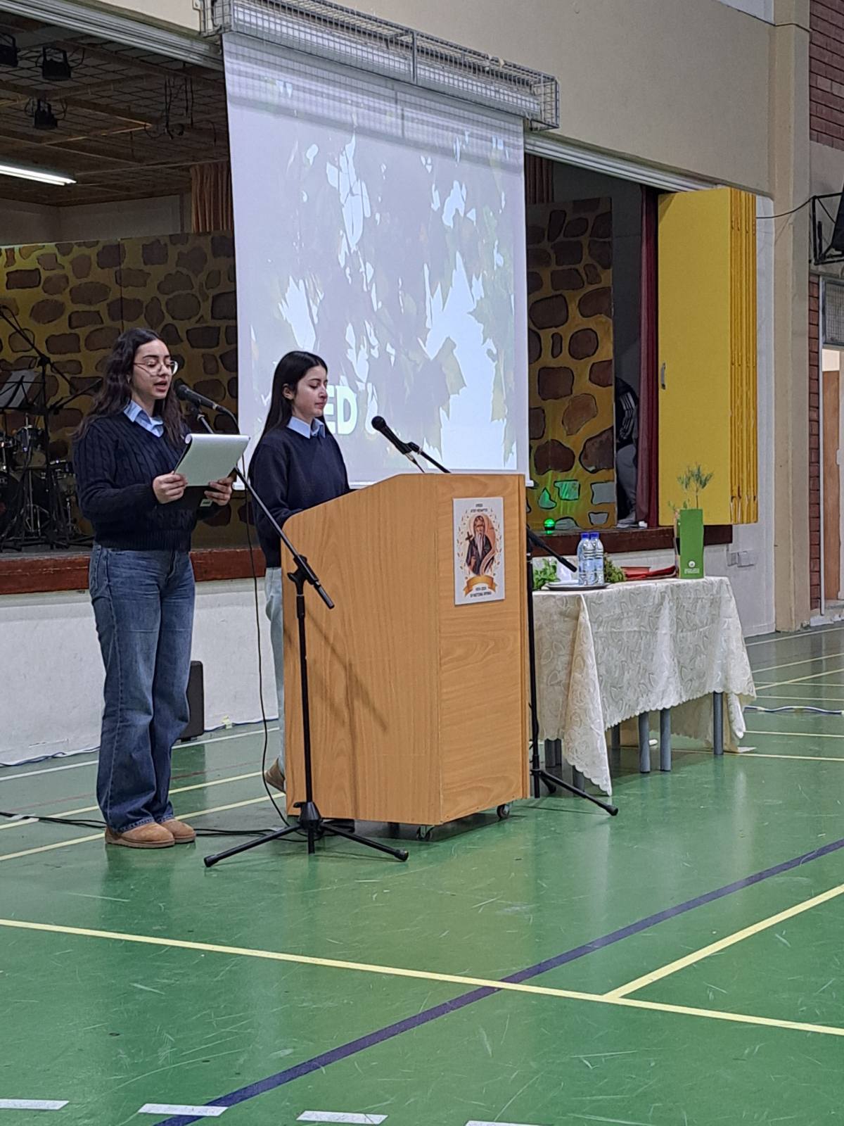 φωτογραφία 6