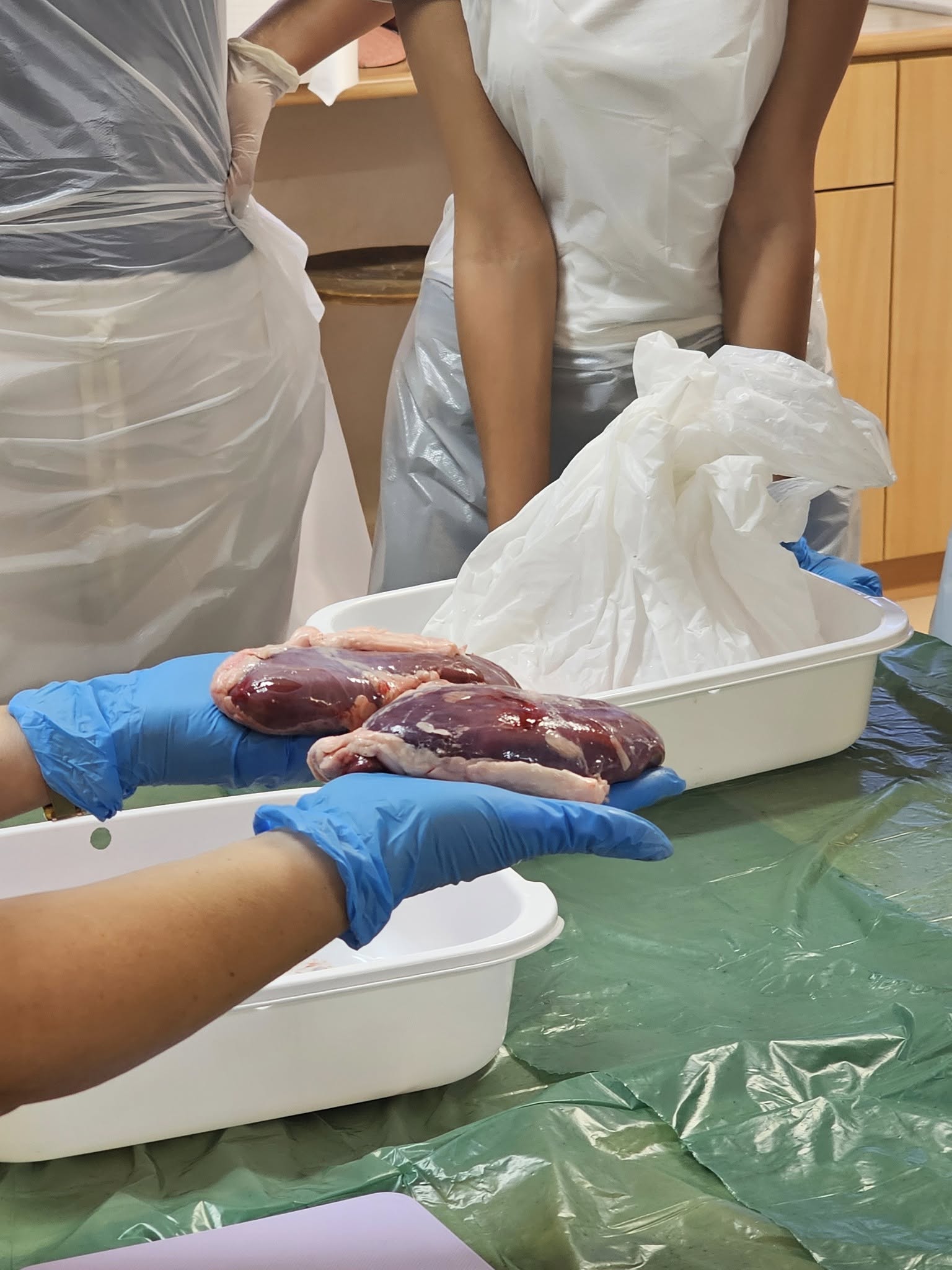 2025 10 03 Biology Photo1.jpg