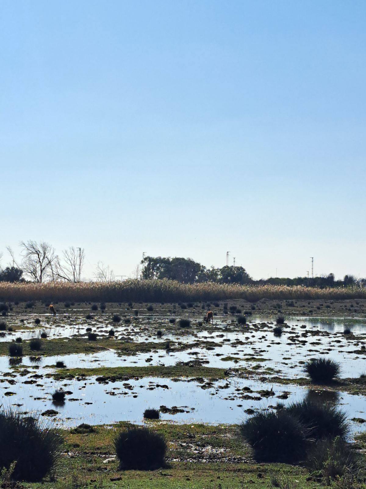 2025 12 12 Akrotiri Photo1.jpg