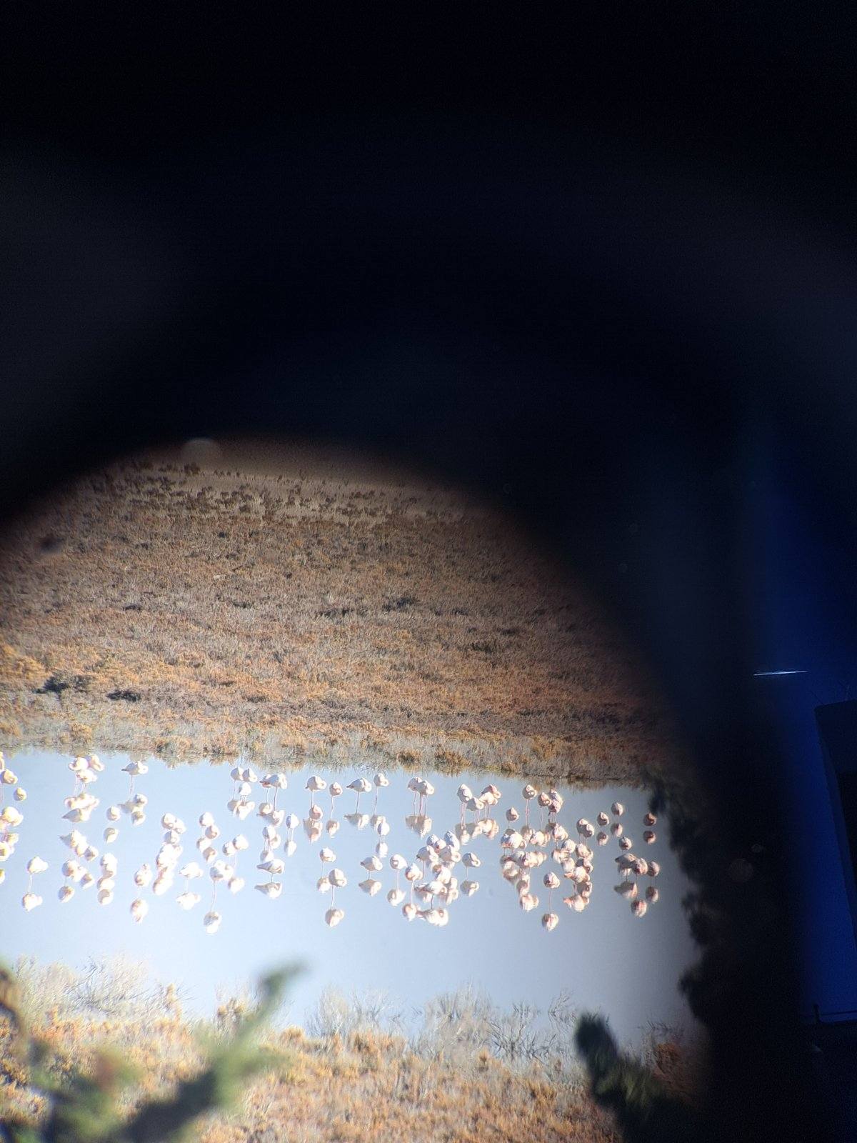 2025 12 12 Akrotiri Photo11.jpg