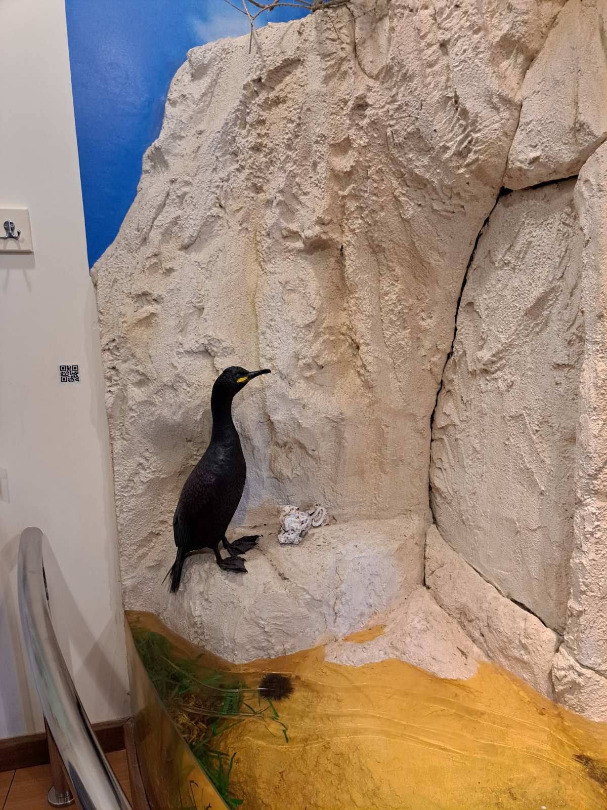 2025 12 12 Akrotiri Photo2.jpg