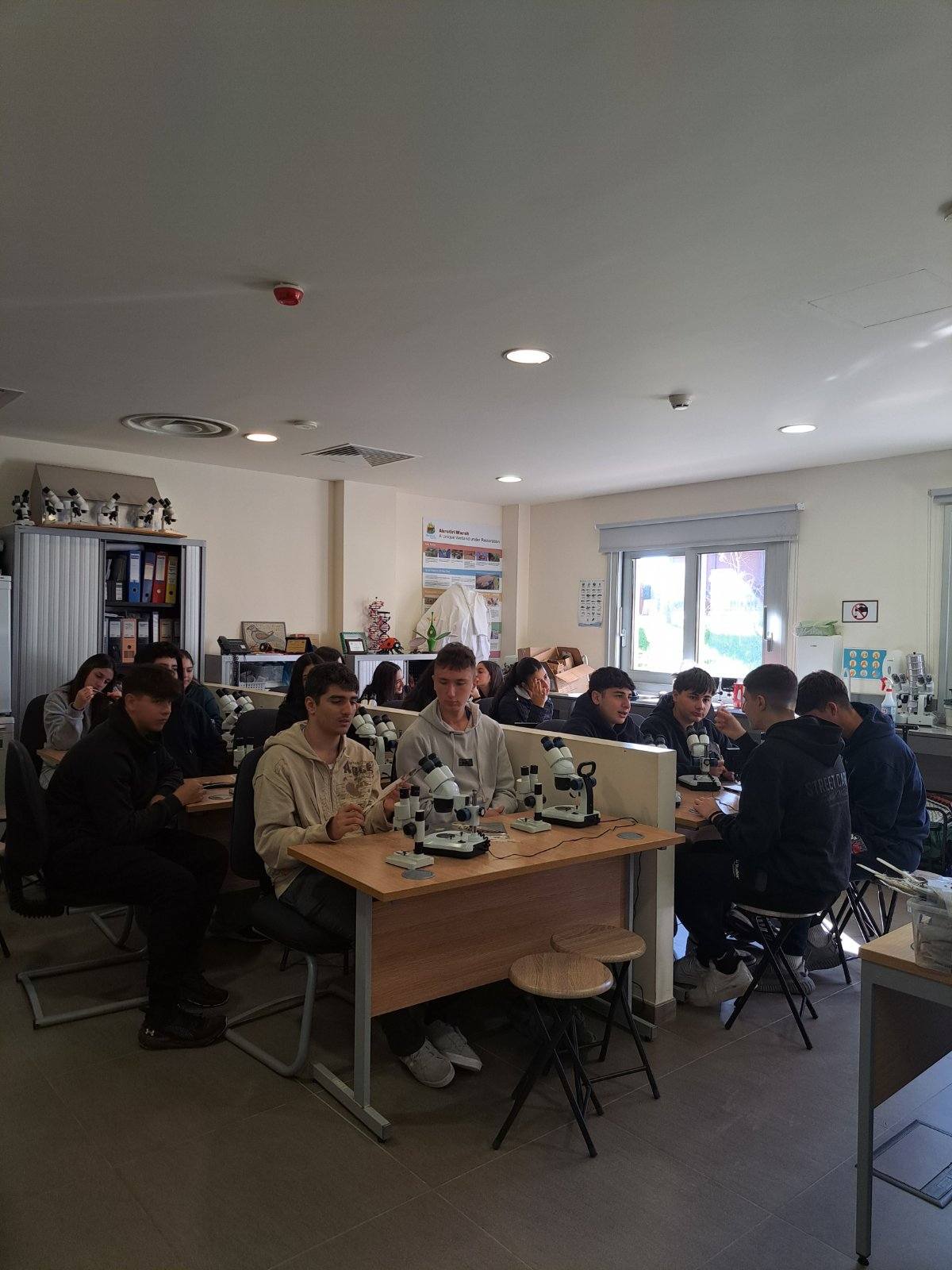 2025 12 12 Akrotiri Photo7.jpg